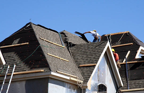 Best Gutter Installation and Roofing  in Perham, MN