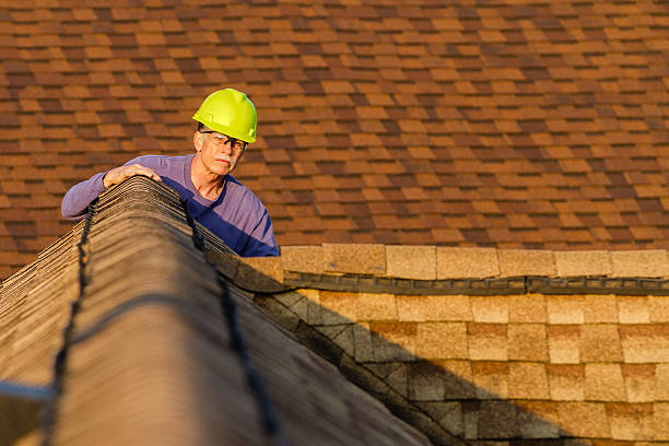 Best Local Roofing Companies  in Perham, MN