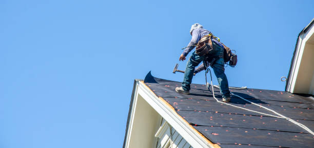 Best Roof Leak Repair  in Perham, MN